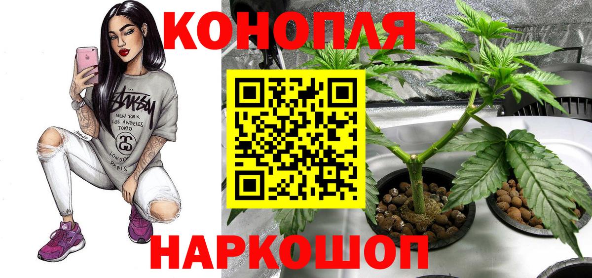 Ногинск  Каннабис семена  Вход с VPN  Канабис конопля  Конопля VHQ 